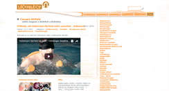 Desktop Screenshot of lecitele.cz